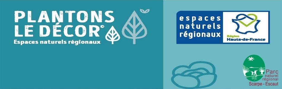 Bandeau Plantons Le Décor