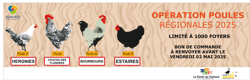 Bandeau Opération Poules 2025