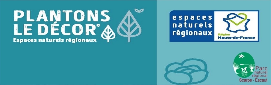 Bandeau Plantons Le Décor